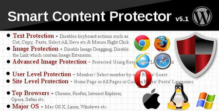 افزونه حرفه ای جلوگیری کپی از متن و تصاویر Smart Content Protector